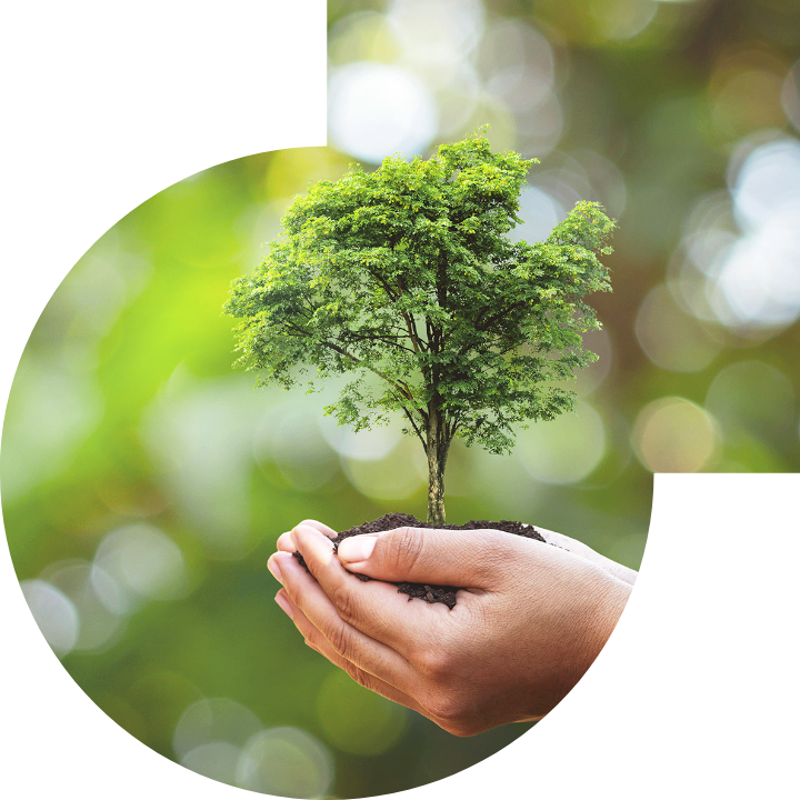 关怀人类、文化、环境与社会